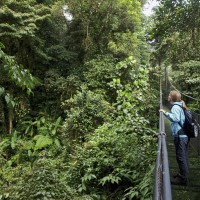 viaje de incentivo a Costa Rica