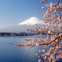 Viaje de incentivo a Japón